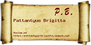 Pattantyus Brigitta névjegykártya